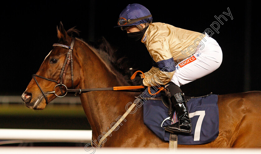 Outbox-0001 
 OUTBOX (Hollie Doyle)
Wolverhampton 18 Jan 2021 - Pic Steven Cargill / Racingfotos.com