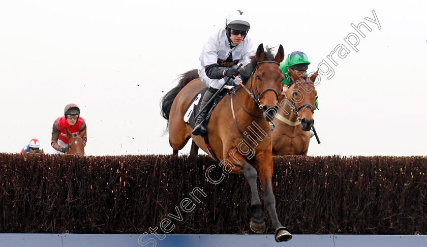 Rockinastorm-0002 
 ROCKINASTORM (David Bass)
Ascot 18 Jan 2025 - Pic Steven Cargill / Racingfotos.com