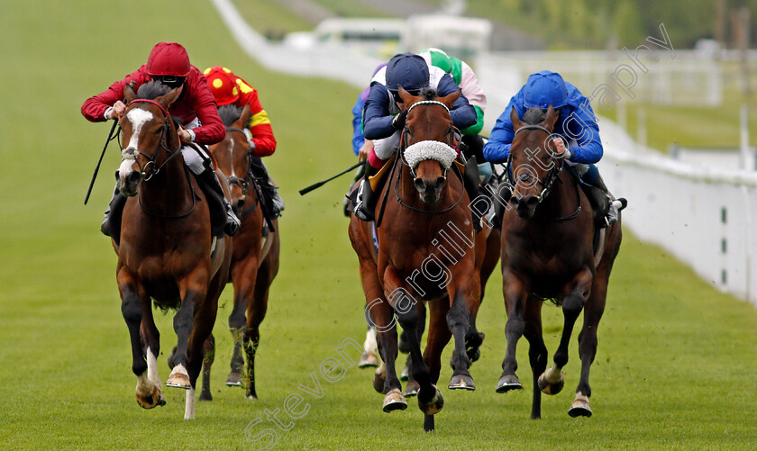 Masekela-0004 
 MASEKELA (centre, Oisin Murphy) beats GOLDEN WAR (left) and FALL OF ROME (right) in The British EBF Novice Stakes
Goodwood 21 May 2021 - Pic Steven Cargill / Racingfotos.com