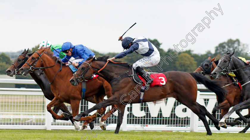 Imperial-Empire-0003 
 IMPERIAL EMPIRE (centre, William Buick) beats FORBIDDEN LAND (right) and SWINLEY FOREST (farside) in The Betway Nursery
Sandown 31 Aug 2019 - Pic Steven Cargill / Racingfotos.com