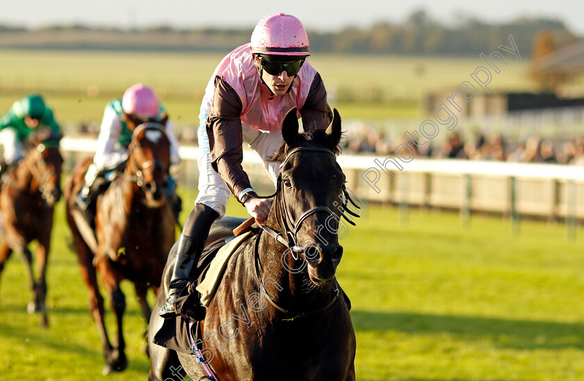 I-Am-I-Said-0002 
 I AM I SAID (Richard Kingscote) wins The British Stallion Studs EBF Future Stayers Novice Stakes
Newmarket 23 Oct 2024 - Pic Steven Cargill / Racingfotos.com