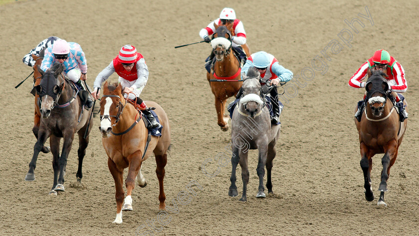 Sandfrankskipsgo-0003 
 SANDFRANKSKIPSGO (Shane Kelly) beats THEGREYVTRAIN (2nd right) HULA GIRL (left) and SHACKLED N DRAWN (right) in The Betway Handicap
Lingfield 18 Jan 2019 - Pic Steven Cargill / Racingfotos.com