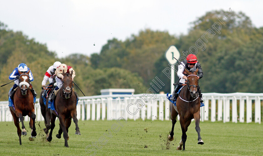 Bartzella-0003 
 BARTZELLA (Tom Marquand) wins The Troy Asset Management Novice Stakes
Ascot 1 Oct 2021 - Pic Steven Cargill / Racingfotos.com