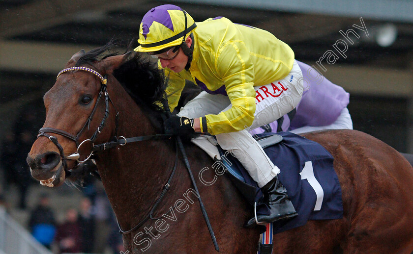 My-Oberon-0008 
 MY OBERON (Tom Marquand) wins The Mansionbet Proud Partners of The AWC Conditions Stakes
Southwell 13 Feb 2022 - Pic Steven Cargill / Racingfotos.com