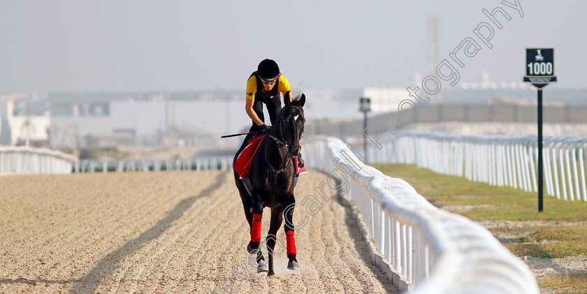 Calif-0003 
 CALIF training for the Bahrain International Trophy
Kingdom of Bahrain 14 Nov 2024 - Pic Steven Cargill / Racingfotos.com