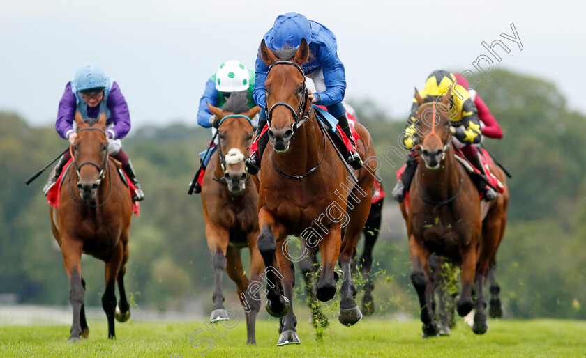 Arabian-Crown-0004 
 ARABIAN CROWN (William Buick) wins The Martin Densham Memorial British EBF Maiden Stakes
Sandown 27 Jul 2023 - Pic Steven Cargill / Racingfotos.com