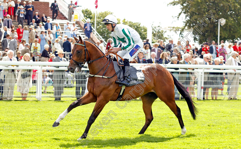 Alaskan-Gold-0001 
 ALASKAN GOLD (Clifford Lee)
Goodwood 1 Aug 2023 - Pic Steven Cargill / Racingfotos.com