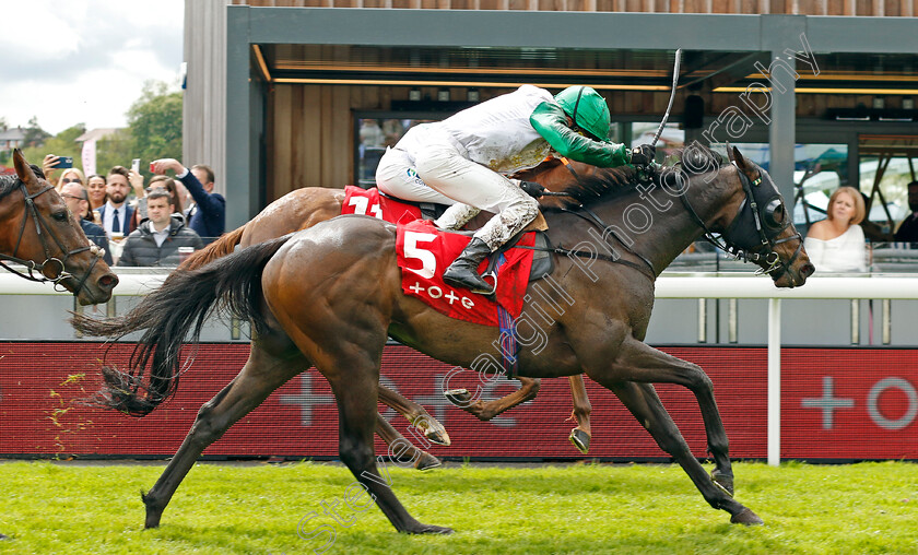 Danger-Alert-0001 
 DANGER ALERT (William Buick) wins The tote £100k Guaranteed Placepot Every Day Handicap
Chester 10 May 2023 - Pic Steven Cargill / Racingfotos.com