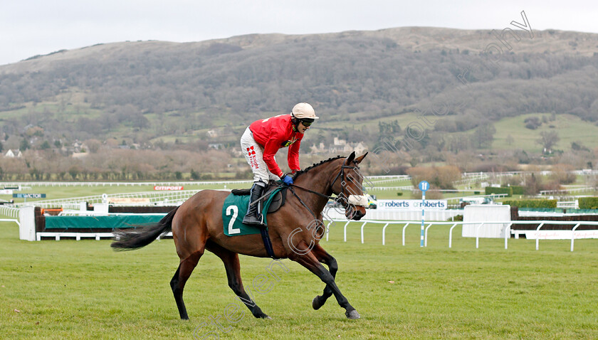 Molly-Carew-0001 
 MOLLY CAREW (Tom Scudamore)
Cheltenham 13 Dec 2019 - Pic Steven Cargill / Racingfotos.com