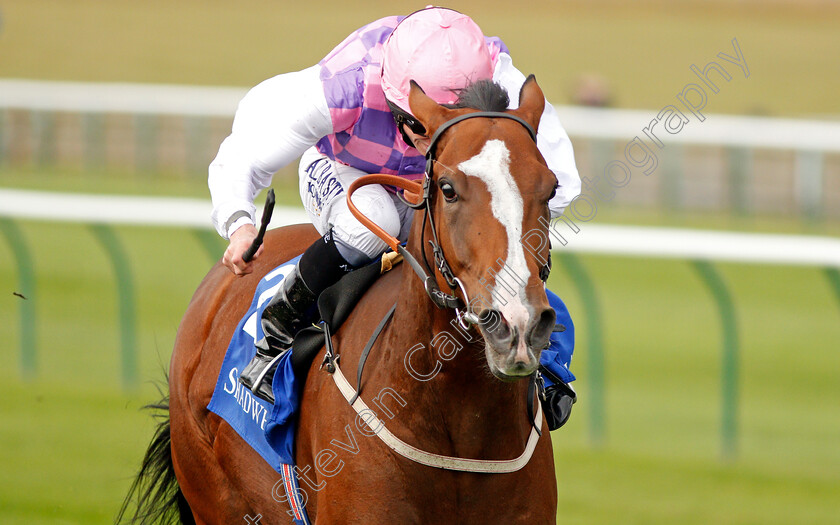 Agincourt-0002 
 AGINCOURT (Ryan Moore) wins The Tasleet British EBF Rosemary Stakes
Newmarket 27 Sep 2019 - Pic Steven Cargill / Racingfotos.com