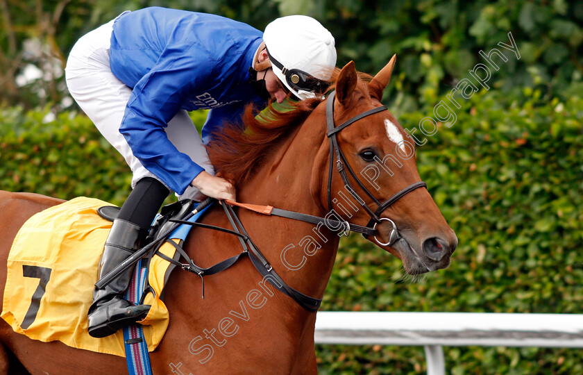 Golden-Romance-0002 
 GOLDEN ROMANCE (Hector Crouch)
Kempton 2 Jun 2021 - Pic Steven Cargill / Racingfotos.com