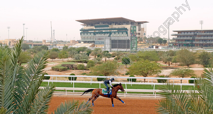 National-Treasure-0001 
 NATIONAL TREASURE training for The Saudi Cup
King Abdulaziz Racetrack, Saudi Arabia 22 Feb 2024 - Pic Steven Cargill / Racingfotos.com