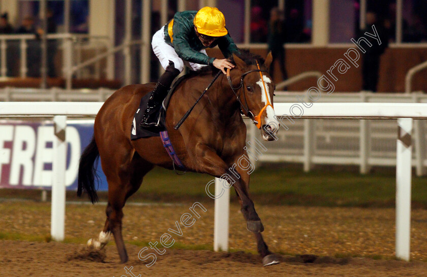 Exhibit-0003 
 EXHIBIT (James Doyle) wins The Bet At totesport.com Fillies Novice Stakes Div1
Chelmsford 25 Nov 2019 - Pic Steven Cargill / Racingfotos.com