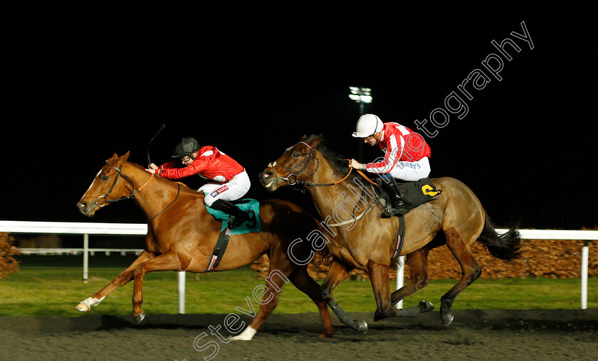 Ginger-Fox-0002 
 GINGER FOX (Hollie Doyle) beats ELJADDAAF (right) in The 32Red Handicap
Kempton 29 Jan 2020 - Pic Steven Cargill / Racingfotos.com