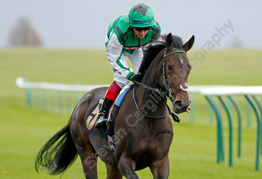 Filistine-0003 
 FILISTINE (Frankie Dettori) winner of The 888sport British EBF Novice Stakes Div2
Newmarket 29 Oct 2021 - Pic Steven Cargill / Racingfotos.com