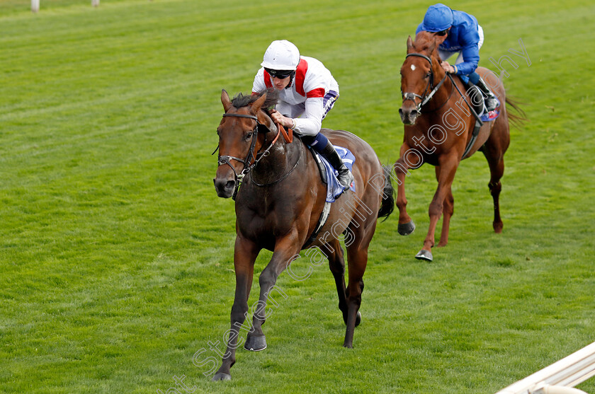 Deauville-Legend-0005 
 DEAUVILLE LEGEND (Daniel Muscutt) wins The Sky Bet Great Voltigeur Stakes
York 17 Aug 2022 - Pic Steven Cargill / Racingfotos.com