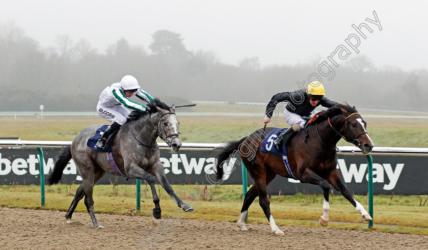 Three-Weeks-0004 
 THREE WEEKS (left, Martin Harley) beats BRIGHAM YOUNG (right) in The 32Red.com EBF Novice Stakes Div1 Lingfield 20 Dec 2017 - Pic Steven Cargill / Racingfotos.com