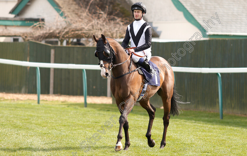 Cool-Exhibit-0001 
 COOL EXHIBIT (Oisin Murphy)
Yarmouth 23 Apr 2019 - Pic Steven Cargill / Racingfotos.com