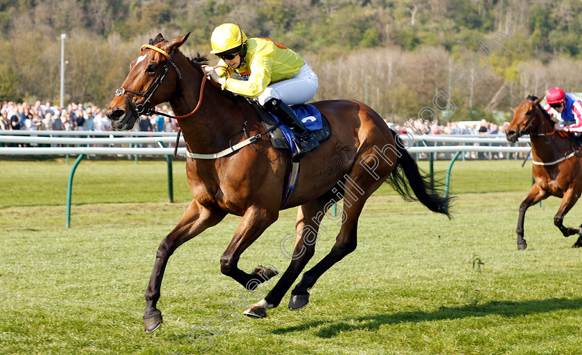 Major-Valentine-0002 
 MAJOR VALENTINE (Kate Leahy) wins The UK Meds Direct Apprentice Handicap
Nottingham 20 Apr 2019 - Pic Steven Cargill / Racingfotos.com