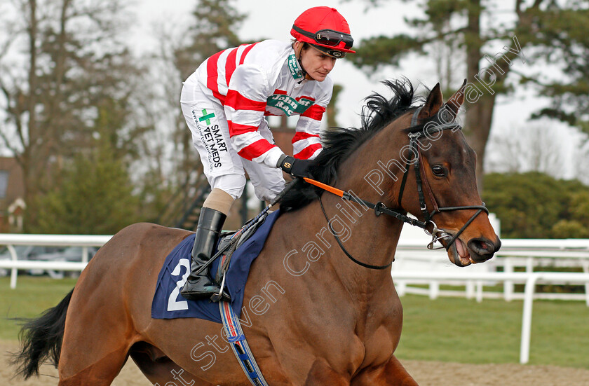 Plantadream-0001 
 PLANTADREAM (Kieran O'Neill)
Lingfield 14 Feb 2020 - Pic Steven Cargill / Racingfotos.com