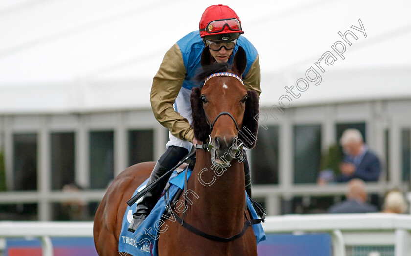 Beshtani-0002 
 BESHTANI (James Doyle)
Epsom 31 May 2024 - Pic Steven Cargill / Racingfotos.com