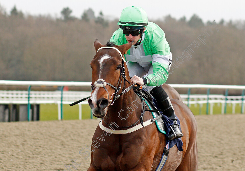 Emraan-0007 
 EMRAAN (Richard Kingscote) wins The Bombardier Golden Beer Novice Stakes
Lingfield 14 Feb 2020 - Pic Steven Cargill / Racingfotos.com