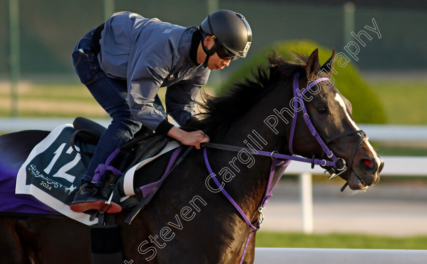 Set-Up-0002 
 SET UP training for The Saudi Derby
King Abdulaziz Racecourse, Saudi Arabia 21 Feb 2024 - Pic Steven Cargill / Racingfotos.com