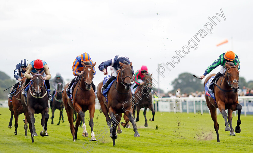 Celandine-0001 
 CELANDINE (centre, Tom Marquand) beats TIME FOR SANDALS (right) HEAVENS GATE (2nd left) LEOVANNI (left) in The Sky Bet Lowther Stakes
York 22 Aug 2024 - Pic Steven Cargill / Racingfotos.com