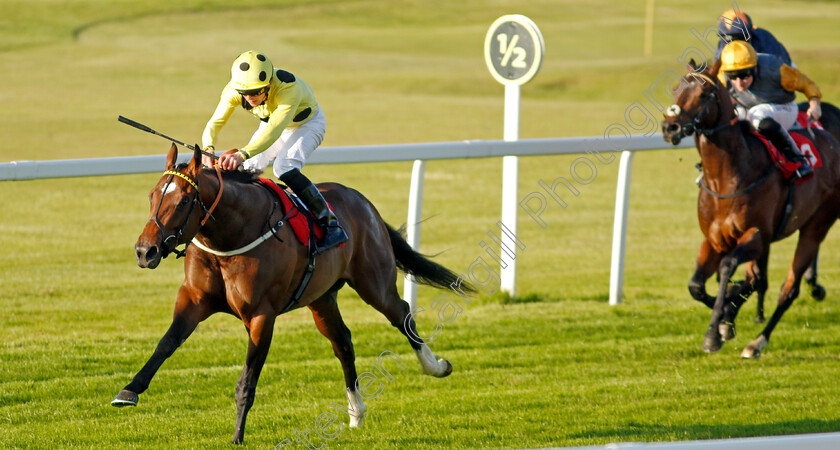 Elite-Status-0007 
 ELITE STATUS (Clifford Lee) wins The Racehorse Lotto National Stakes
Sandown 25 May 2023 - Pic Steven Cargill / Racingfotos.com