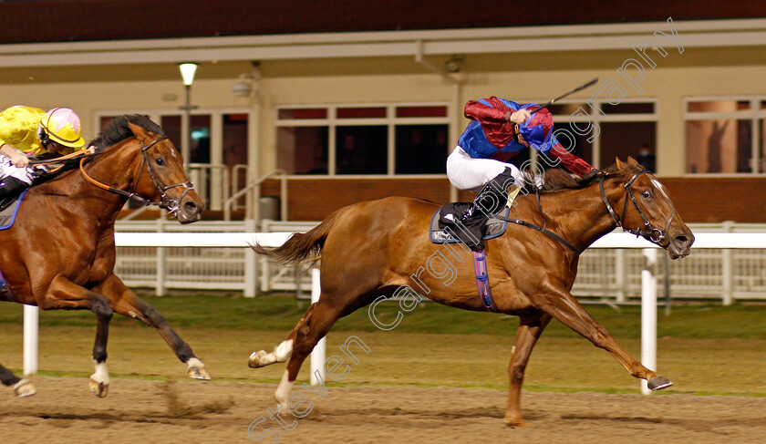 Ahlawi-0005 
 AHLAWI (James Doyle) wins The Racing Welfare Novice Stakes
Chelmsford 27 Nov 2020 - Pic Steven Cargill / Racingfotos.com