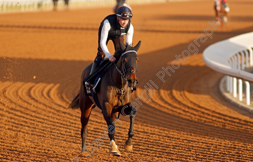 Oscula-0001 
 OSCULA training for The Saudi Derby
King Abdulaziz Racetrack, Riyadh, Saudi Arabia 23 Feb 2022 - Pic Steven Cargill / Racingfotos.com