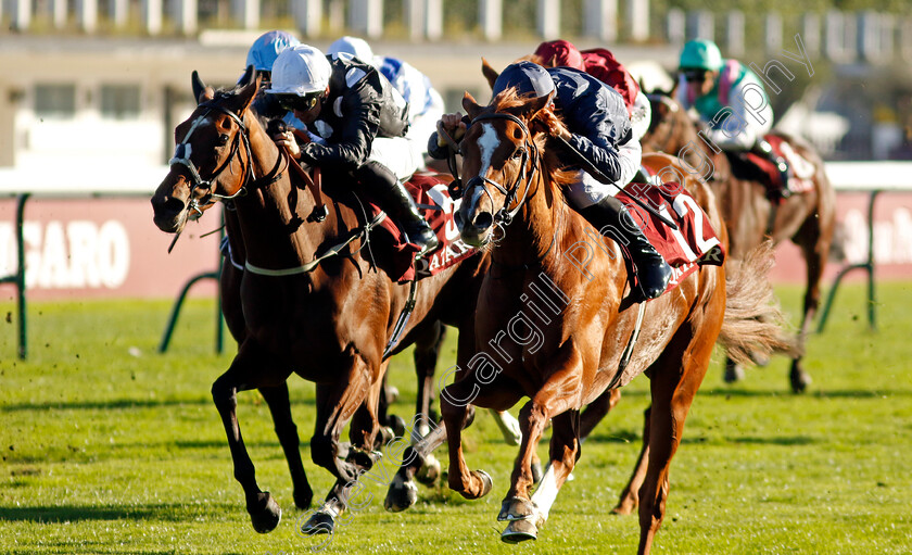 Grateful-0006 
 GRATEFUL (right, Christophe Soumillon) beats MISTRAL STAR (left) in The Qatar Prix de Royallieu 
Longchamp 5 Oct 2024 - Pic Steven Cargill / Racingfotos.com