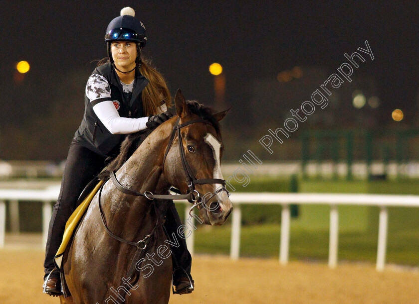 Wondrwherecraigis-0001 
 WONDRWHERECRAIGIS training for the Golden Shaheen
Meydan, Dubai, 23 Mar 2022 - Pic Steven Cargill / Racingfotos.com