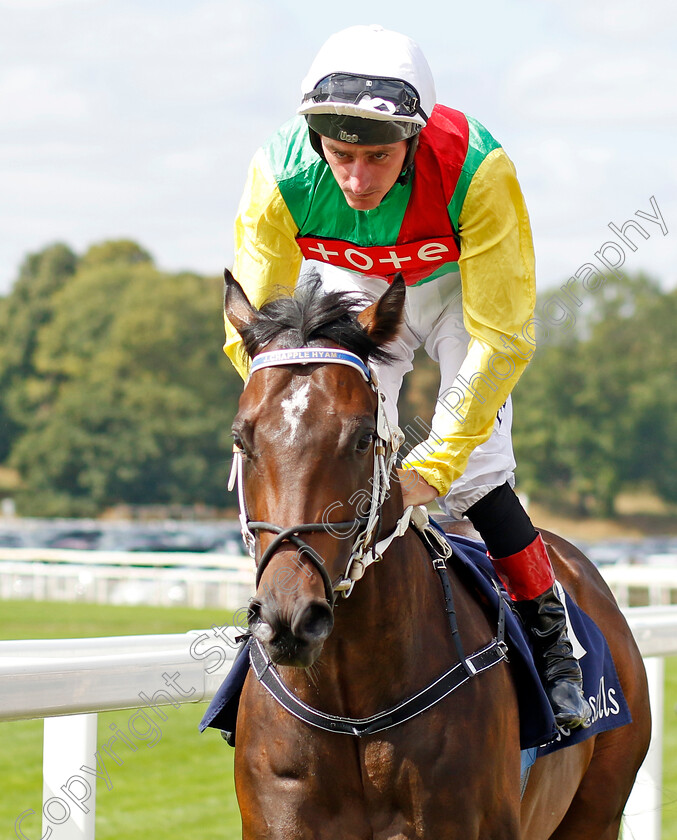 Mill-Stream-0001 
 MILL STREAM (Adam Kirby)
York 17 Aug 2022 - Pic Steven Cargill / Racingfotos.com