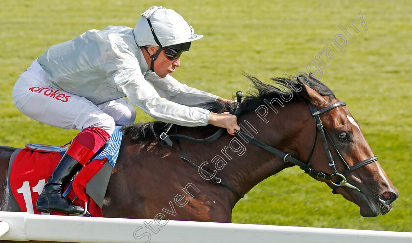 Palace-Pier-0008 
 PALACE PIER (Frankie Dettori) wins The Betway British EBF Maiden Stakes
Sandown 30 Aug 2019 - Pic Steven Cargill / Racingfotos.com