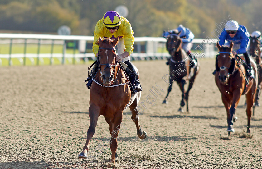 Sea-La-Rosa-0006 
 SEA LA ROSA (Tom Marquand) wins The Coral EBF River Eden Fillies Stakes
Lingfield 28 Oct 2021 - Pic Steven Cargill / Racingfotos.com