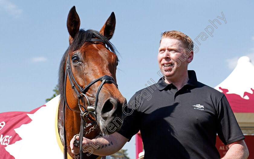 Rhododendron-0013 
 RHODODENDRON after The Al Shaqab Lockinge Stakes Newbury 19 May 2018 - Pic Steven Cargill / Racingfotos.com