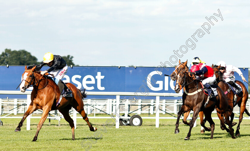 Akbar-Shah-0001 
 AKBAR SHAH (Jamie Spencer) wins The Sodexo Handicap
Ascot 7 Sep 2018 - Pic Steven Cargill / Racingfotos.com