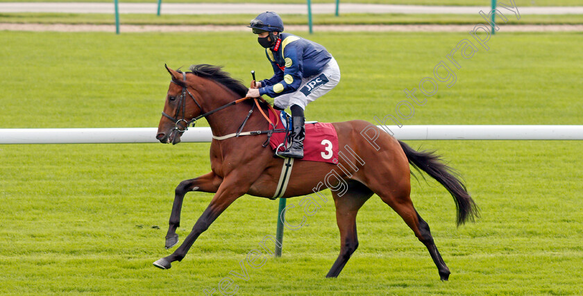 Gosnay-Gold-0001 
 GOSNAY GOLD (Lewis Edmunds)
Haydock 3 Sep 2020 - Pic Steven Cargill / Racingfotos.com