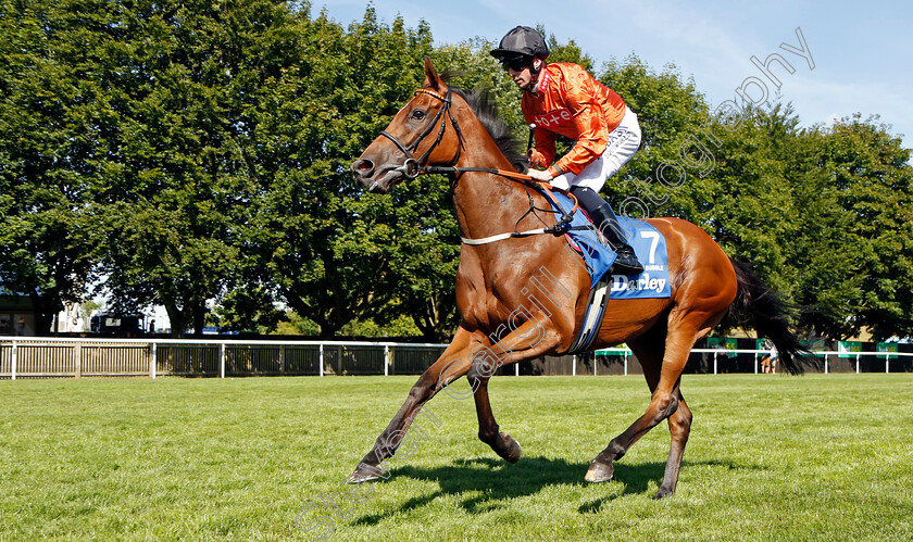 Double-Or-Bubble 
 DOUBLE OR BUBBLE (Jack Mitchell)
Newmarket 9 Jul 2022 - Pic Steven Cargill / Racingfotos.com