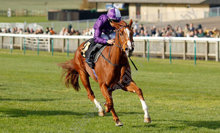 Mammas-Girl-0002 
 MAMMAS GIRL (Sean Levey) wins The Discover Newmarket Fillies Restricted Novice Stakes Div2
Newmarket 19 Oct 2022 - Pic Steven Cargill / Racingfotos.com