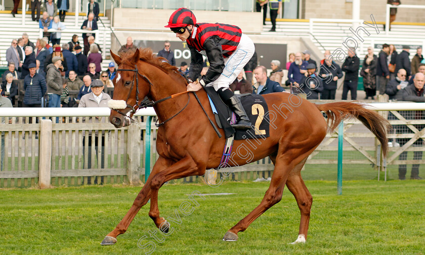 Ivatt-0001 
 IVATT (Kieran Shoemark)
Newmarket 23 Oct 2024 - Pic Steven Cargill / Racingfotos.com