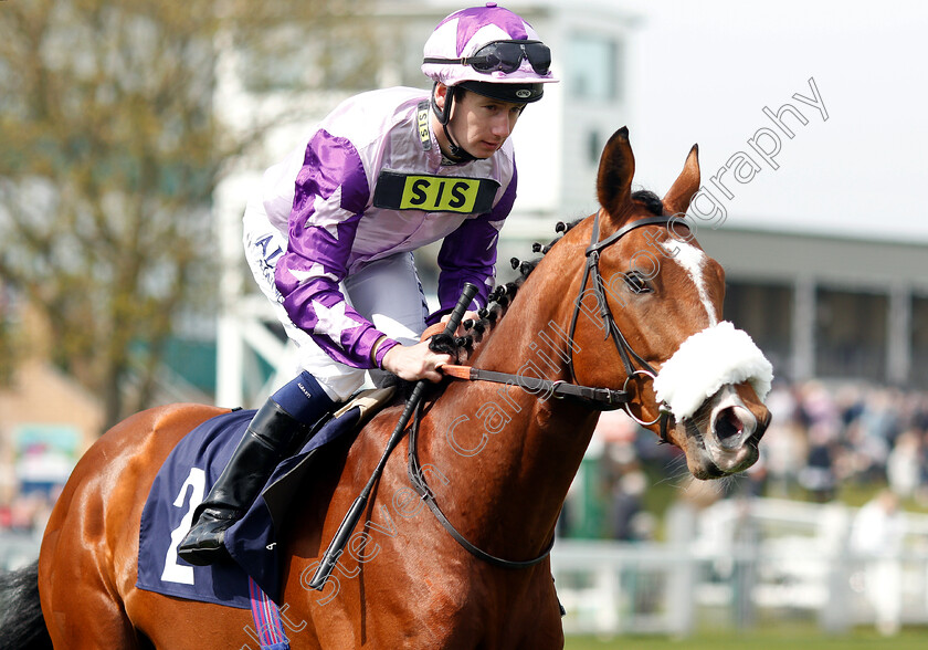 Agent-Basterfield-0001 
 AGENT BASTERFIELD (Oisin Murphy)
Yarmouth 23 Apr 2019 - Pic Steven Cargill / Racingfotos.com