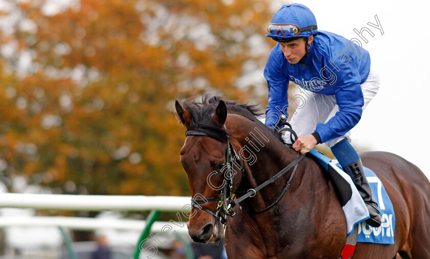 Volkan-Star-0001 
 VOLKAN STAR (William Buick)
Newmarket 12 Oct 2019 - Pic Steven Cargill / Racingfotos.com