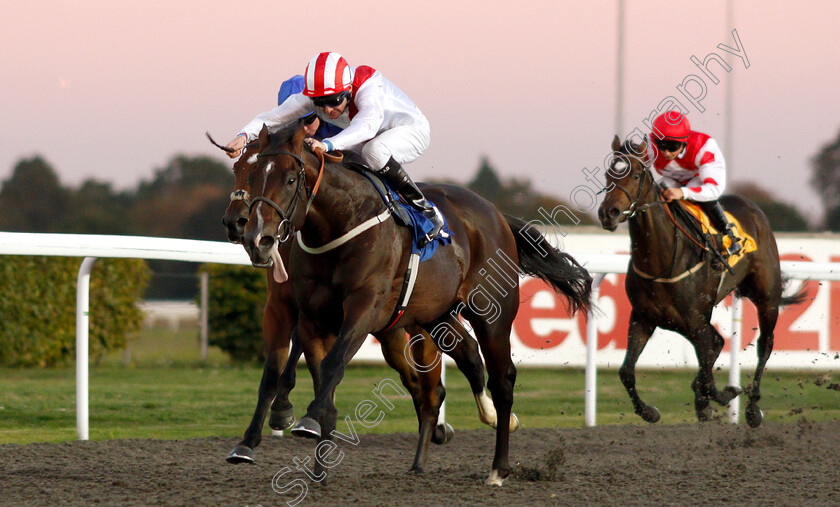 Kings-Highway-0001 
 KINGS HIGHWAY (Robert Havlin) wins The 100% Profit Boost At 32Redsport.com Novice Stakes Div2
Kempton 27 Sep 2018 - Pic Steven Cargill / Racingfotos.com