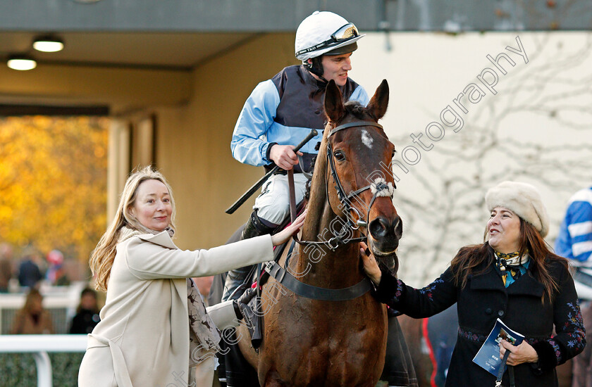 Sir-Valentino-0007 
 SIR VALENTINO (J J Burke) after The Shawbrook Handicap Chase Ascot 25 Nov 2017 - Pic Steven Cargill / Racingfotos.com