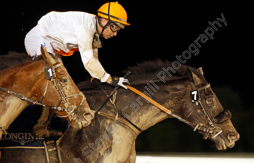 Franz-Strauss-0001 
 FRANZ STRAUSS (Tadhg O'Shea) wins The Longines Legend Diver Collection Handicap
Meydan 27 Jan 2023 - Pic Steven Cargill / Racingfotos.com