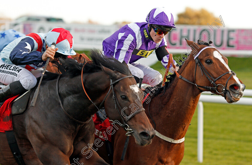 Speculative-Bid-0004 
 SPECULATIVE BID (left, Sean Levey) beats SHADY MCCOY (right) in The Betfred Supports Jack Berry House Handicap Doncaster 11 Nov 2017 - Pic Steven Cargill / Racingfotos.com