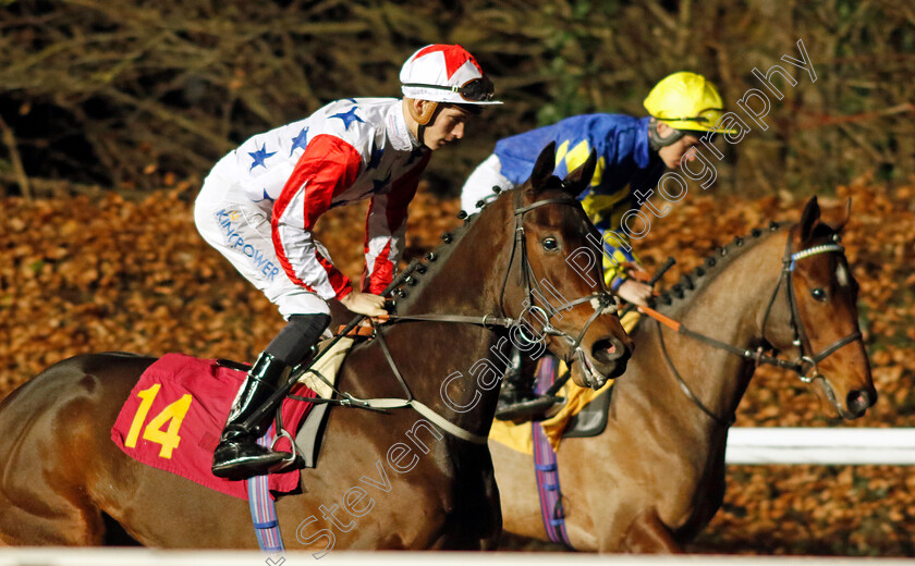 Through-The-Echoes-0001 
 THROUGH THE ECHOES (Harry Davies)
Kempton 13 Dec 2023 - Pic Steven Cargill / Racingfotos.com