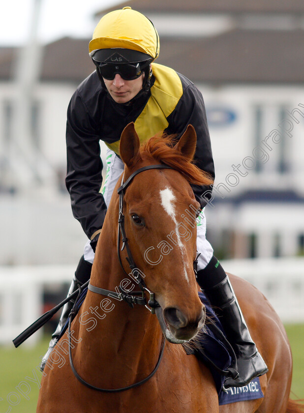 Just-That-Lord-0001 
 JUST THAT LORD (Luke Morris) winner of The Investec Asset Finance Handicap
Epsom 24 Apr 2019 - Pic Steven Cargill / Racingfotos.com